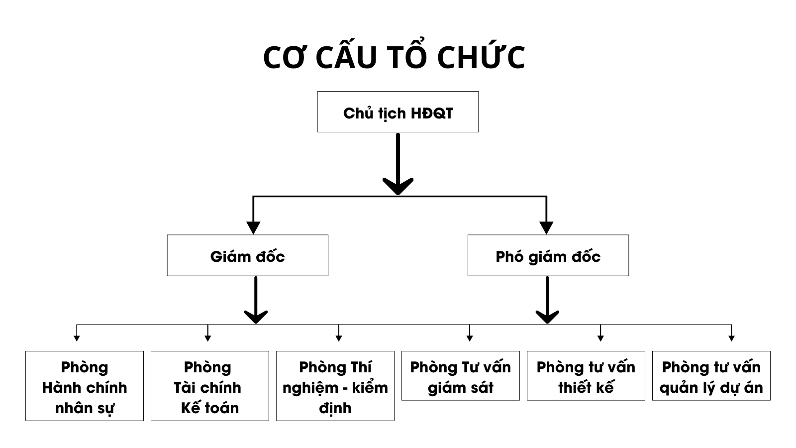 Co-cau-to-chuc-cong-ty-tu-van-dong-duong